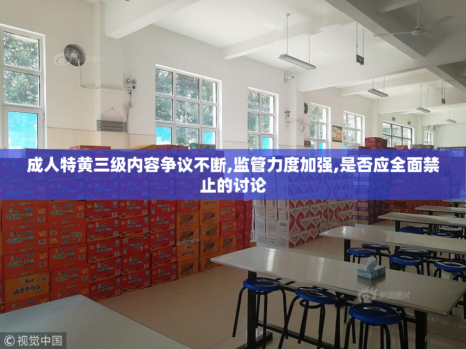 成人特黄三级内容争议不断,监管力度加强,是否应全面禁止的讨论