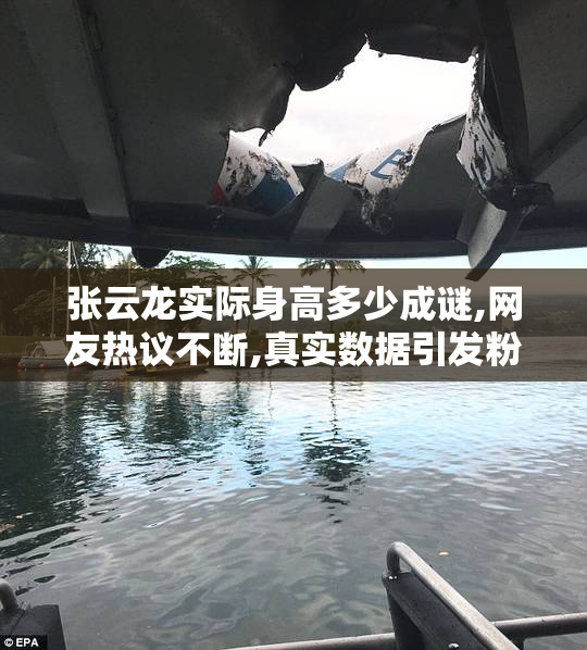 张云龙实际身高多少成谜,网友热议不断,真实数据引发粉丝好奇