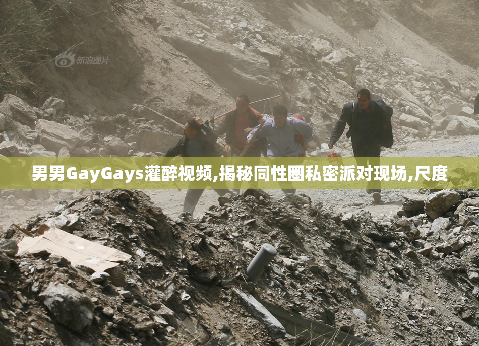 男男GayGays灌醉视频,揭秘同性圈私密派对现场,尺度