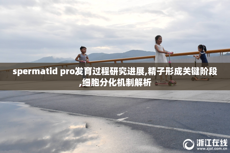 spermatid pro发育过程研究进展,精子形成关键阶段,细胞分化机制解析