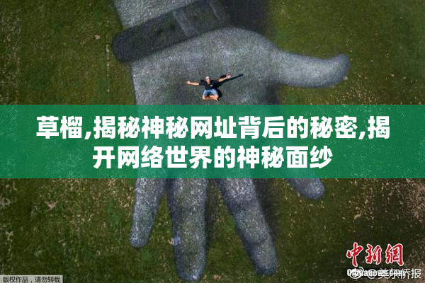 草榴,揭秘神秘网址背后的秘密,揭开网络世界的神秘面纱