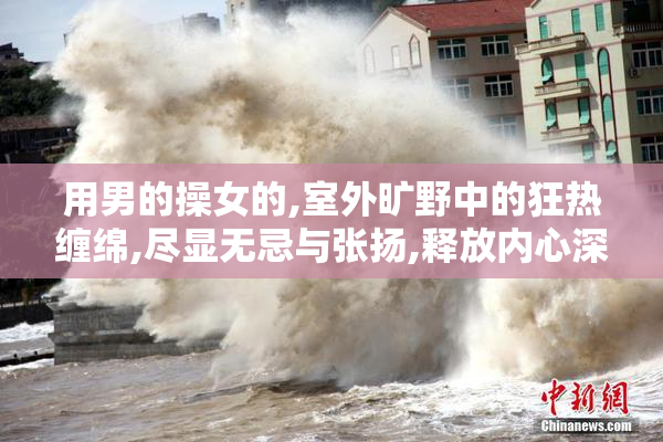 用男的操女的,室外旷野中的狂热缠绵,尽显无忌与张扬,释放内心深处