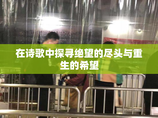 在诗歌中探寻绝望的尽头与重生的希望
