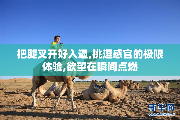把腿叉开好入逼,挑逗感官的极限体验,欲望在瞬间点燃