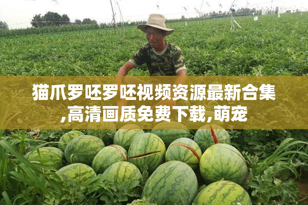 猫爪罗呸罗呸视频资源最新合集,高清画质免费下载,萌宠