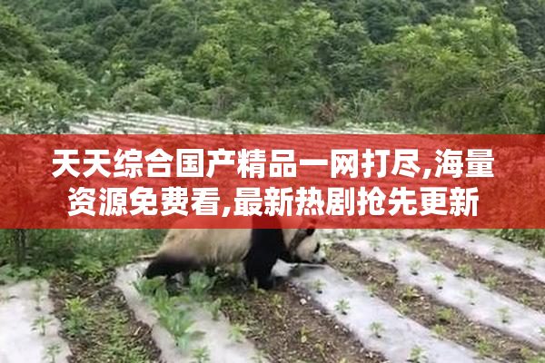 天天综合国产精品一网打尽,海量资源免费看,最新热剧抢先更新