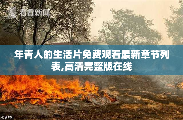 年青人的生活片免费观看最新章节列表,高清完整版在线