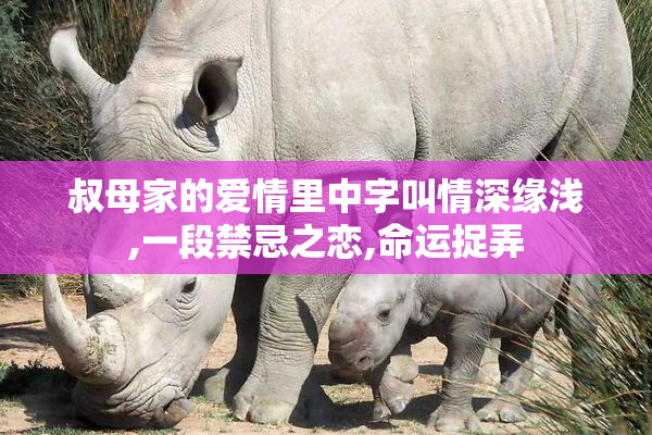 叔母家的爱情里中字叫情深缘浅,一段禁忌之恋,命运捉弄