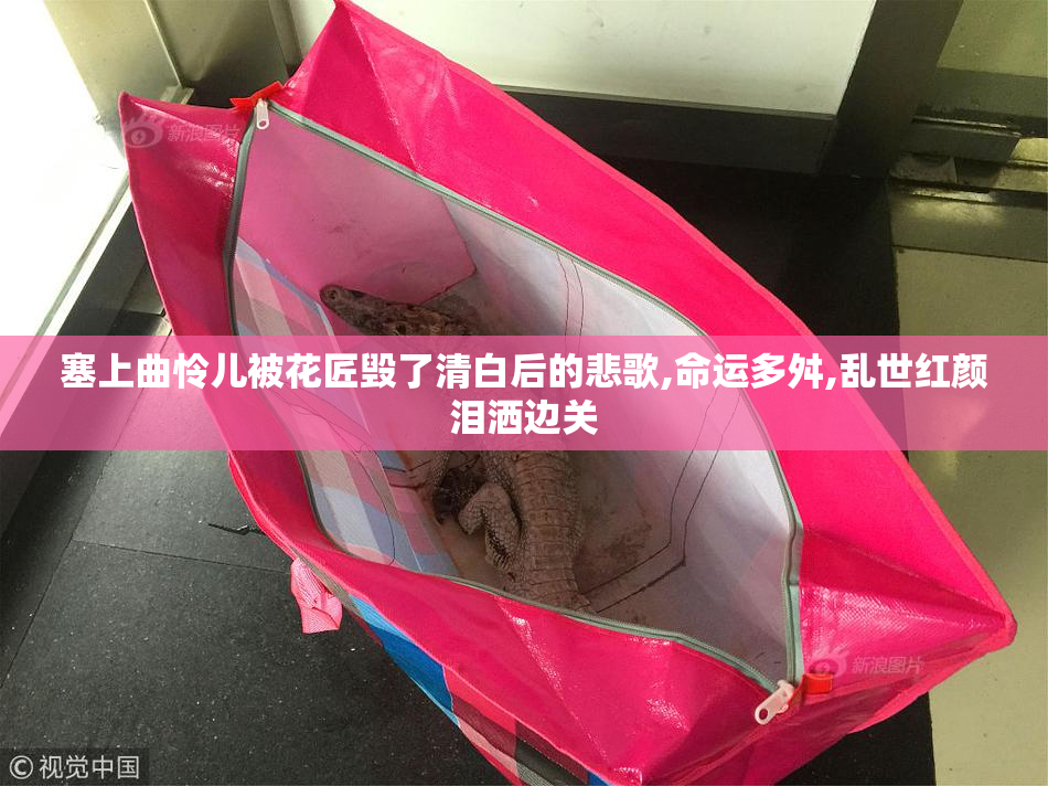 塞上曲怜儿被花匠毁了清白后的悲歌,命运多舛,乱世红颜泪洒边关