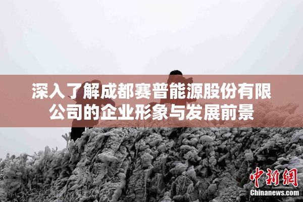 深入了解成都赛普能源股份有限公司的企业形象与发展前景