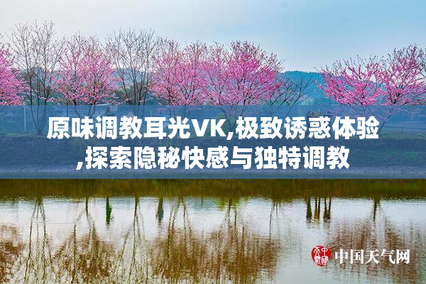 原味调教耳光VK,极致诱惑体验,探索隐秘快感与独特调教