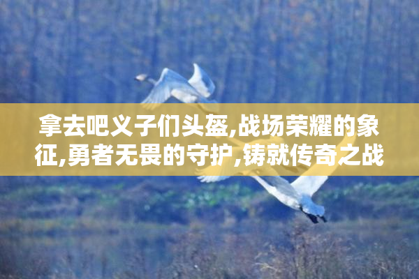 拿去吧义子们头盔,战场荣耀的象征,勇者无畏的守护,铸就传奇之战