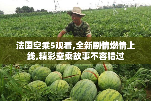 法国空乘5观看,全新剧情燃情上线,精彩空乘故事不容错过