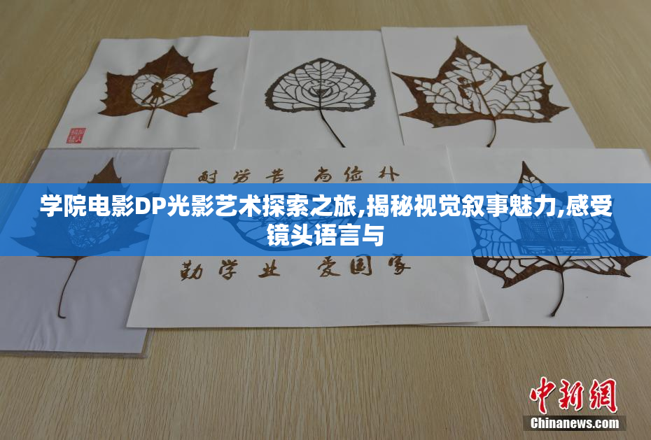 学院电影DP光影艺术探索之旅,揭秘视觉叙事魅力,感受镜头语言与