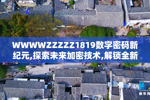 WWWWZZZZZ1819数字密码新纪元,探索未来加密技术,解锁全新安全时代