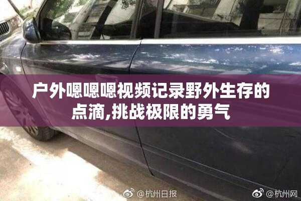 户外嗯嗯嗯视频记录野外生存的点滴,挑战极限的勇气