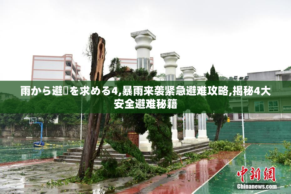 雨から避難を求める4,暴雨来袭紧急避难攻略,揭秘4大安全避难秘籍