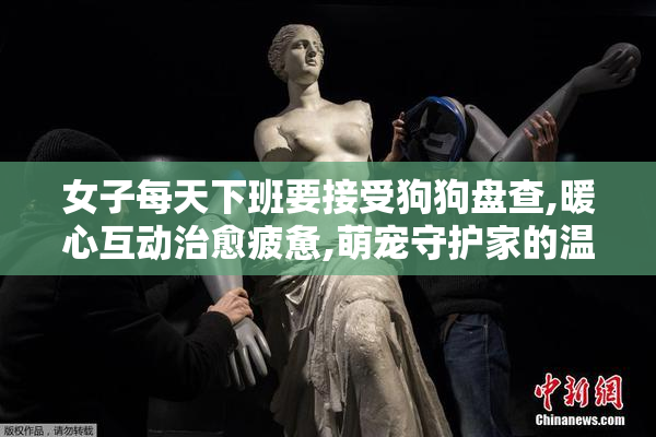 女子每天下班要接受狗狗盘查,暖心互动治愈疲惫,萌宠守护家的温馨