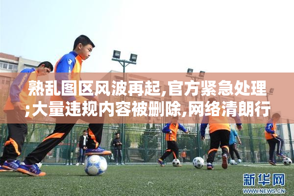 熟乱图区风波再起,官方紧急处理;大量违规内容被删除,网络清朗行动