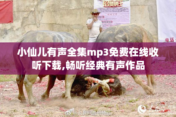 小仙儿有声全集mp3免费在线收听下载,畅听经典有声作品