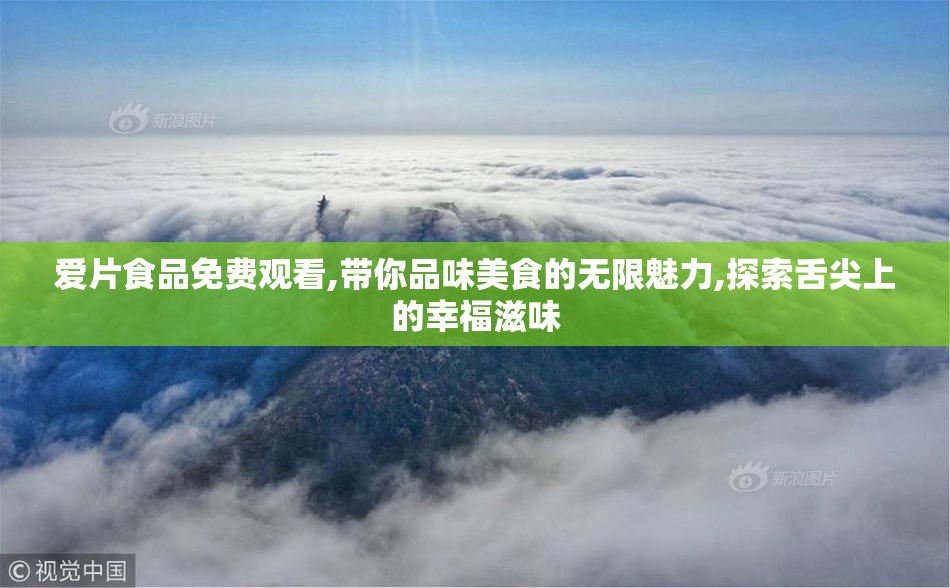 爱片食品免费观看,带你品味美食的无限魅力,探索舌尖上的幸福滋味