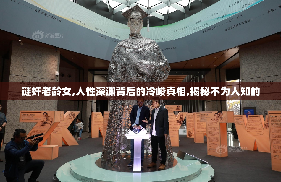 谜奸老龄女,人性深渊背后的冷峻真相,揭秘不为人知的