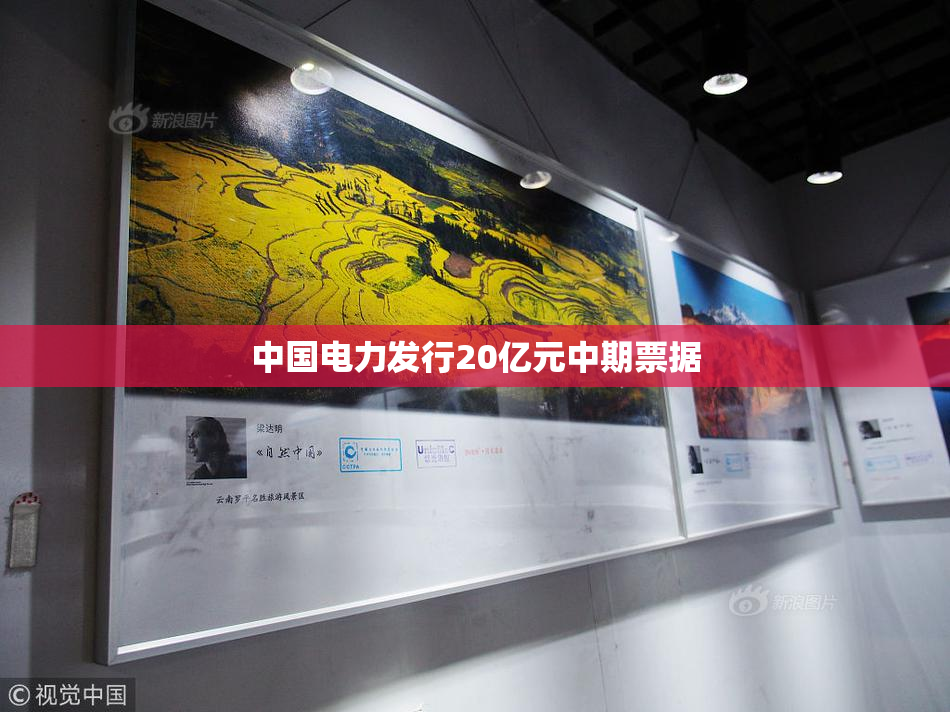 中国电力发行20亿元中期票据
