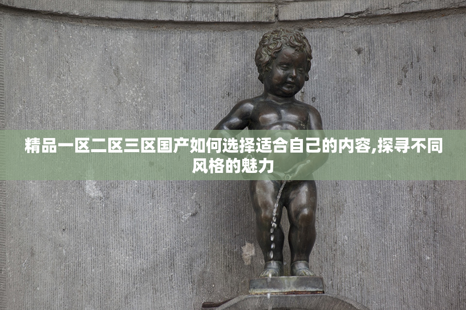 精品一区二区三区国产如何选择适合自己的内容,探寻不同风格的魅力