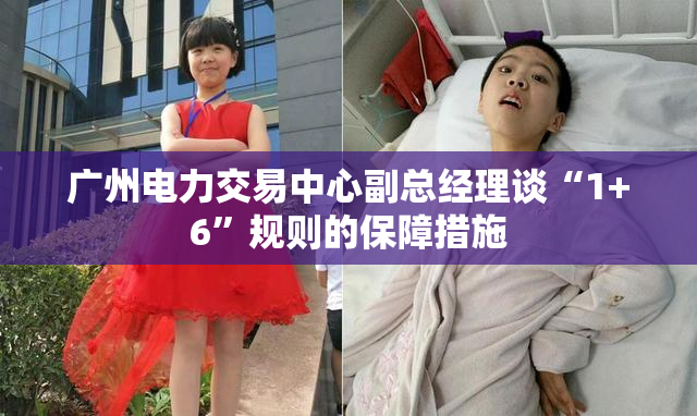 广州电力交易中心副总经理谈“1+6”规则的保障措施