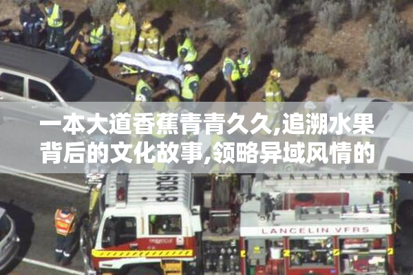 一本大道香蕉青青久久,追溯水果背后的文化故事,领略异域风情的