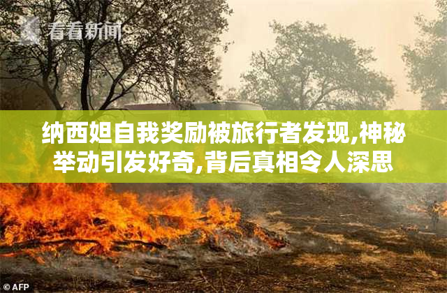 纳西妲自我奖励被旅行者发现,神秘举动引发好奇,背后真相令人深思