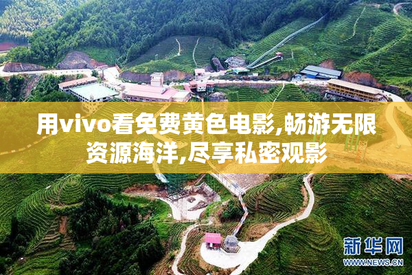用vivo看免费黄色电影,畅游无限资源海洋,尽享私密观影