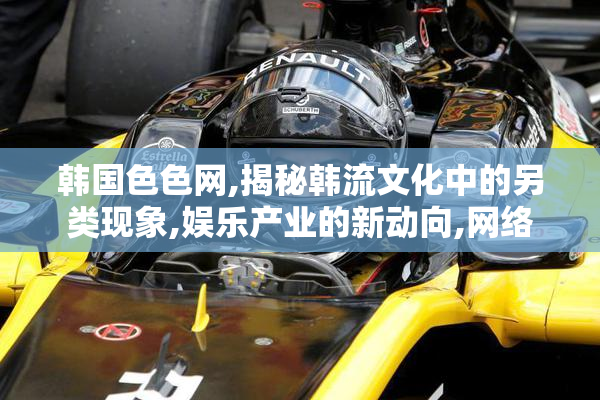 韩国色色网,揭秘韩流文化中的另类现象,娱乐产业的新动向,网络