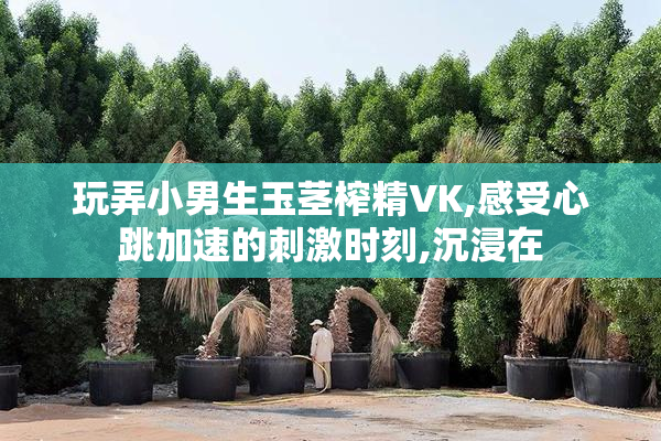 玩弄小男生玉茎榨精VK,感受心跳加速的刺激时刻,沉浸在