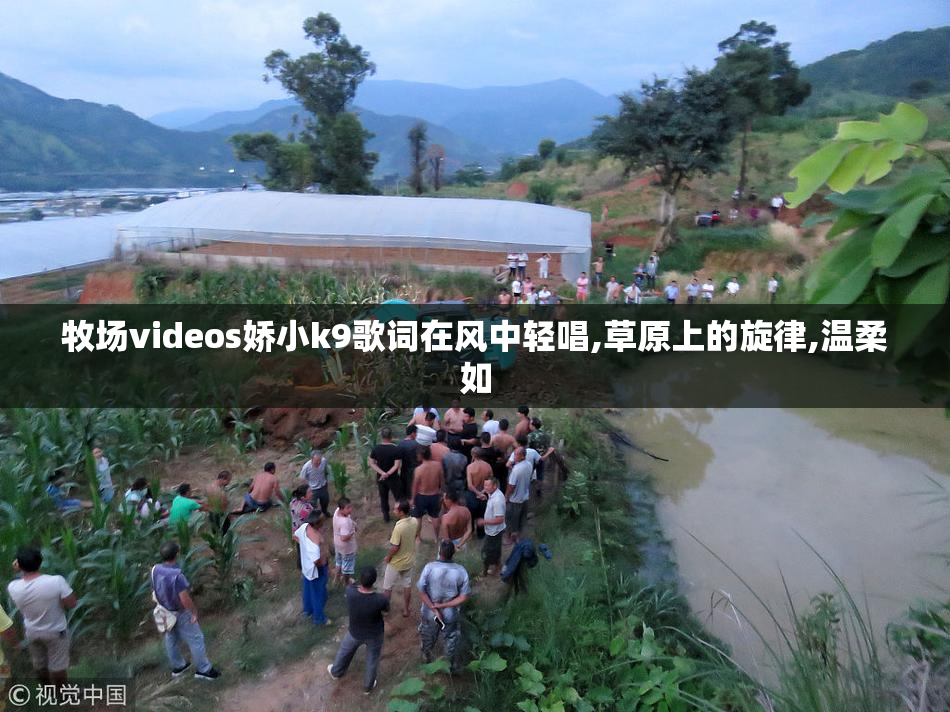 牧场videos娇小k9歌词在风中轻唱,草原上的旋律,温柔如