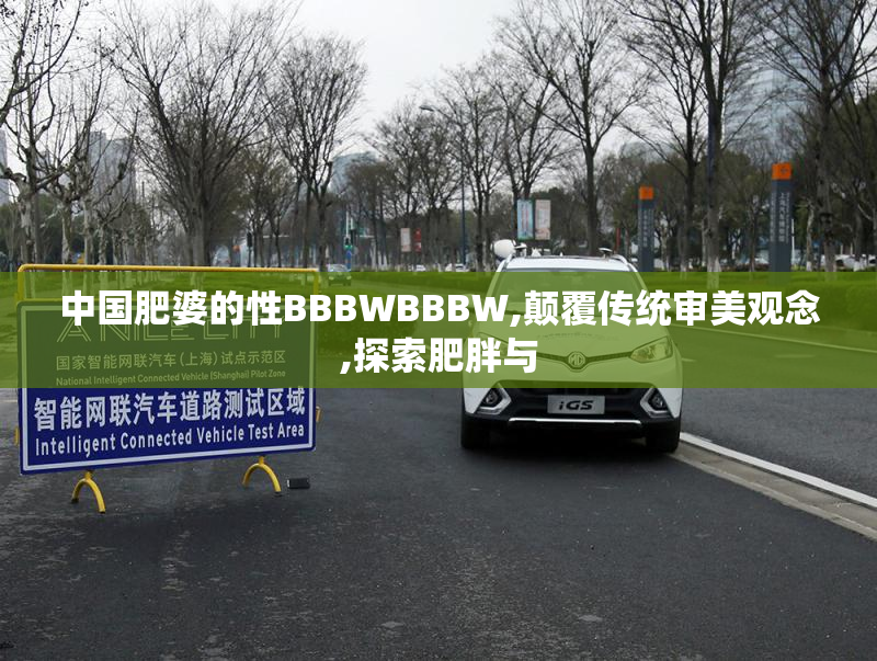 中国肥婆的性BBBWBBBW,颠覆传统审美观念,探索肥胖与