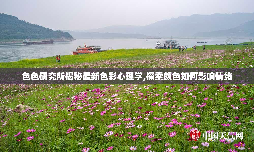 色色研究所揭秘最新色彩心理学,探索颜色如何影响情绪