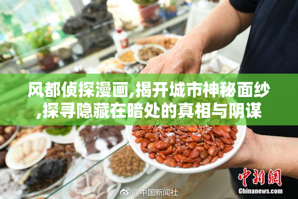 风都侦探漫画,揭开城市神秘面纱,探寻隐藏在暗处的真相与阴谋