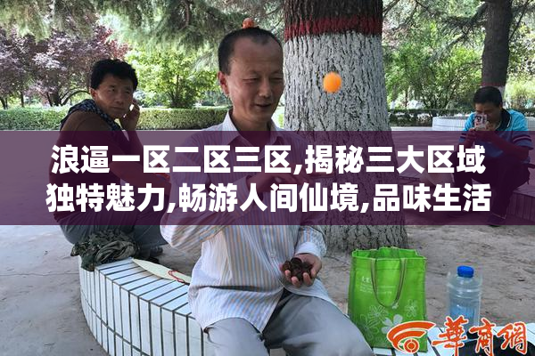 浪逼一区二区三区,揭秘三大区域独特魅力,畅游人间仙境,品味生活