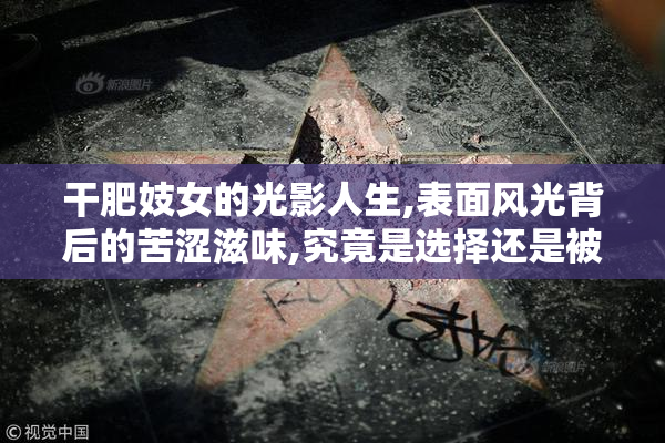 干肥妓女的光影人生,表面风光背后的苦涩滋味,究竟是选择还是被迫