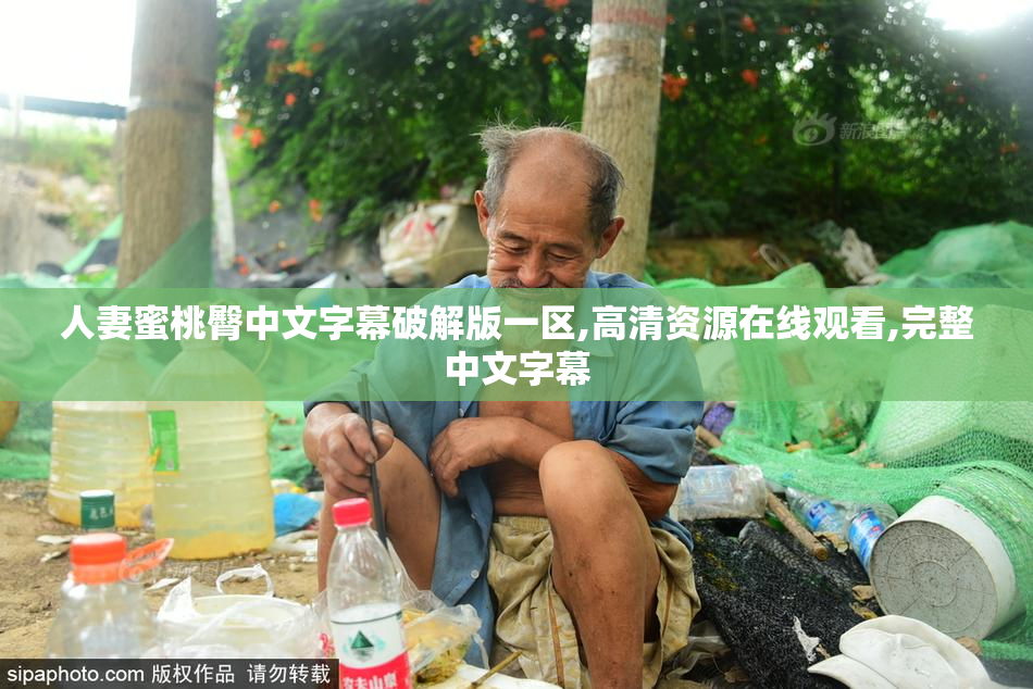 人妻蜜桃臀中文字幕破解版一区,高清资源在线观看,完整中文字幕