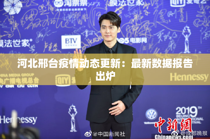 河北邢台疫情动态更新：最新数据报告出炉