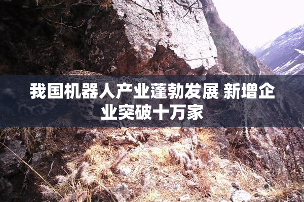 我国机器人产业蓬勃发展 新增企业突破十万家