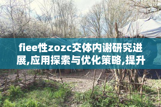 fiee性zozc交体内谢研究进展,应用探索与优化策略,提升代谢效率的