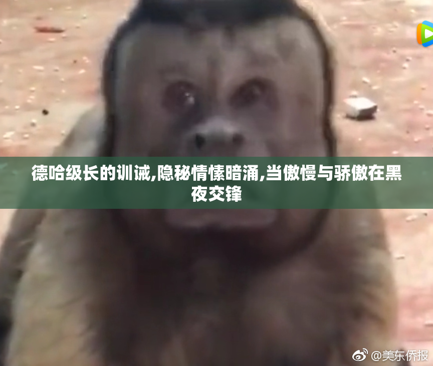 德哈级长的训诫,隐秘情愫暗涌,当傲慢与骄傲在黑夜交锋
