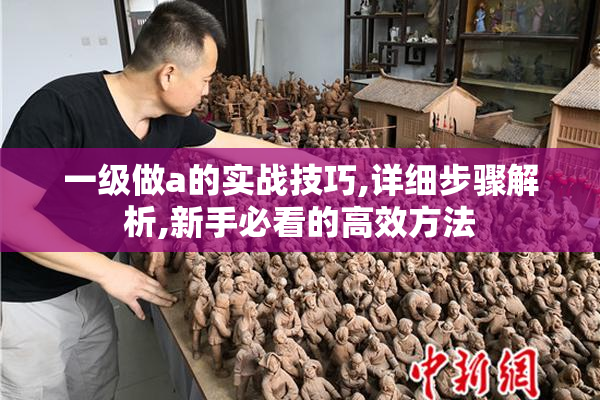 一级做a的实战技巧,详细步骤解析,新手必看的高效方法