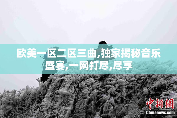欧美一区二区三曲,独家揭秘音乐盛宴,一网打尽,尽享