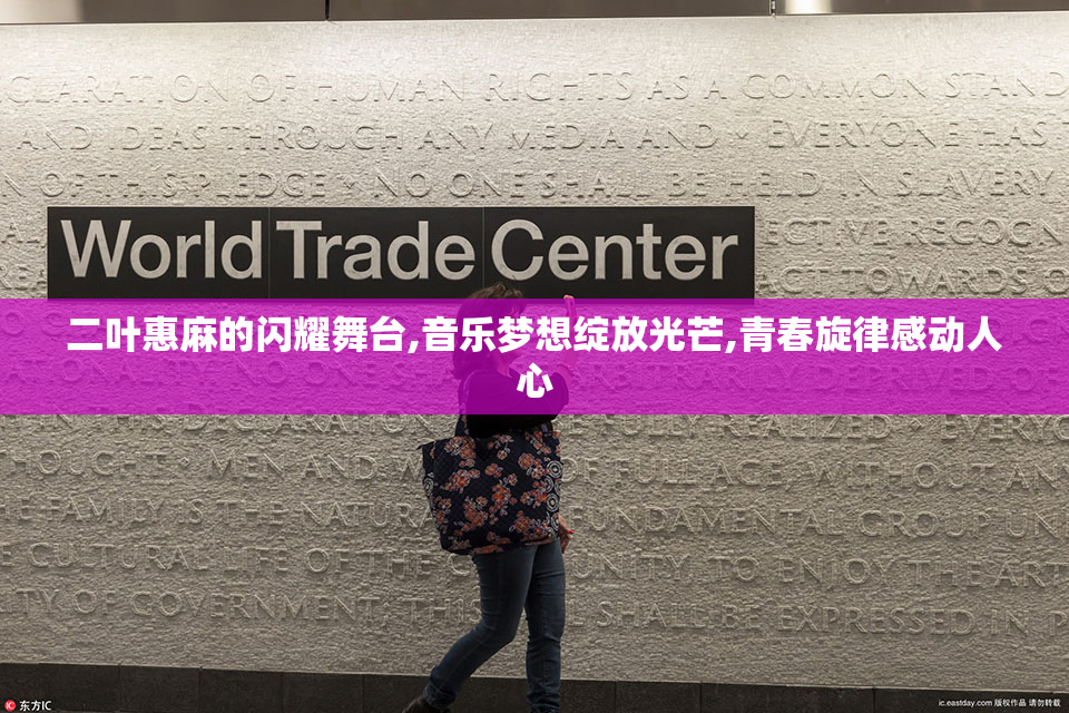 二叶惠麻的闪耀舞台,音乐梦想绽放光芒,青春旋律感动人心