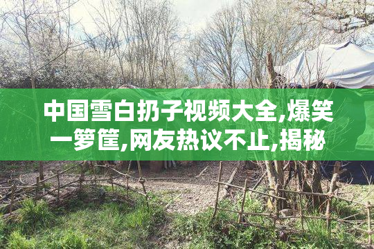 中国雪白扔子视频大全,爆笑一箩筐,网友热议不止,揭秘