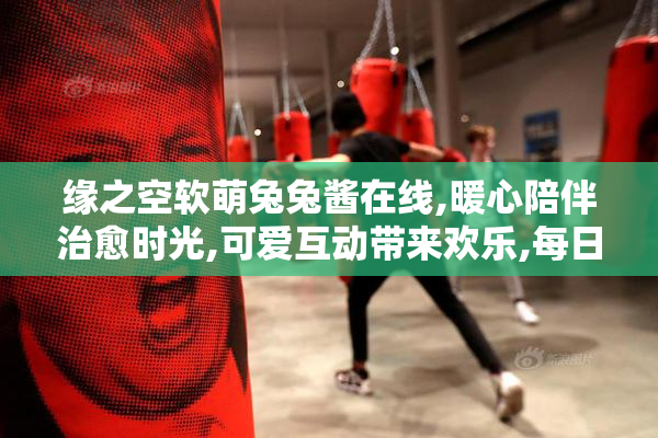 缘之空软萌兔兔酱在线,暖心陪伴治愈时光,可爱互动带来欢乐,每日与